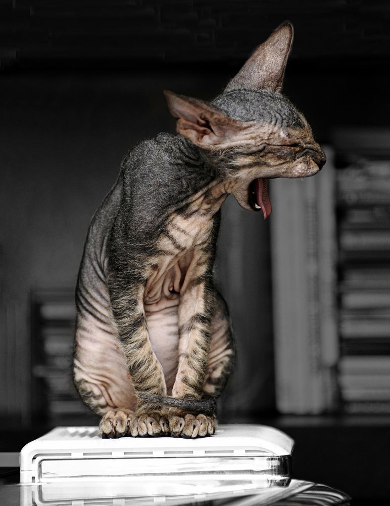 Photograph by Афанасенко Ольга