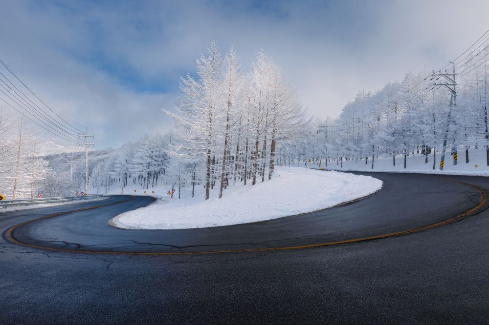 Фотография автора NGUYEN NGOC SON