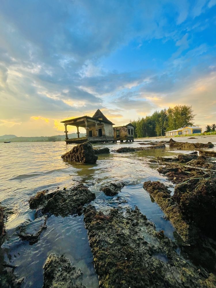 Photograph by VASHALE DEVI