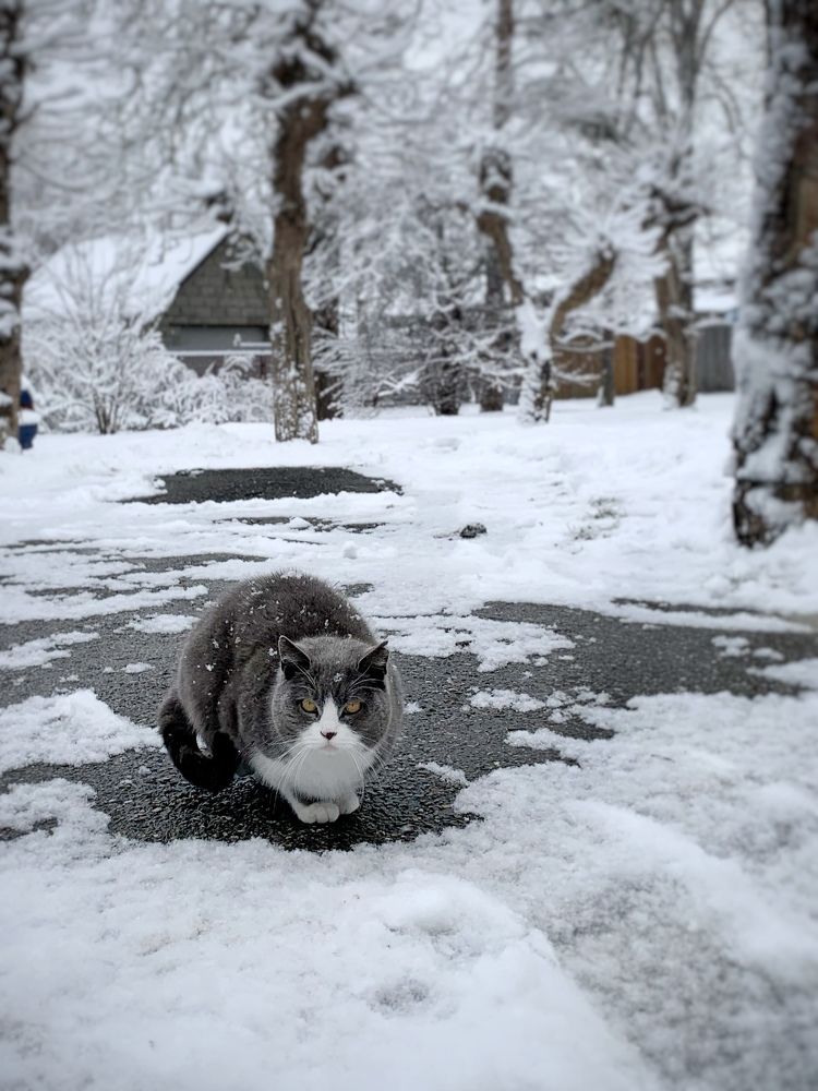 Photograph by Татьяна Семёнова