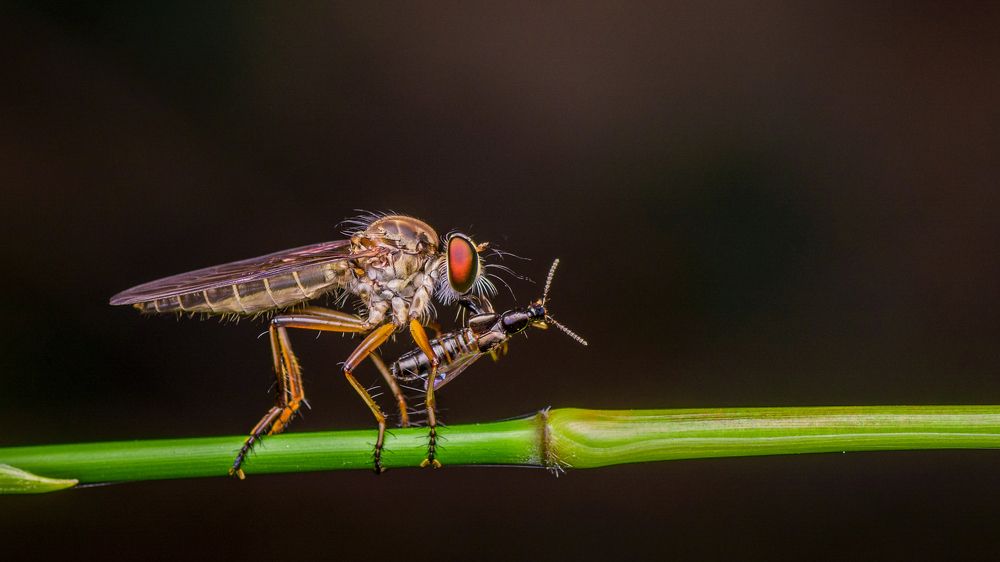 Photograph by Vinod Kumar V K