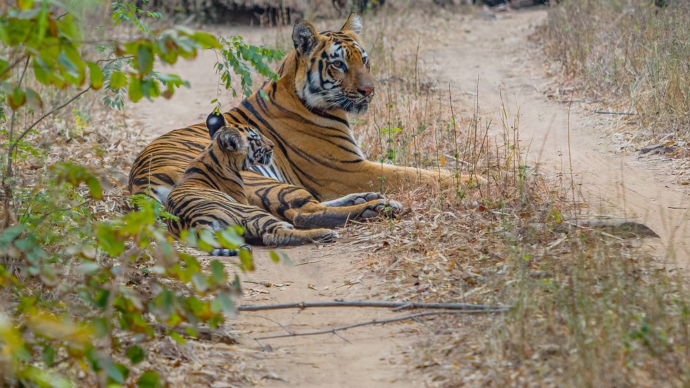 Photograph by Venkat Mangudi