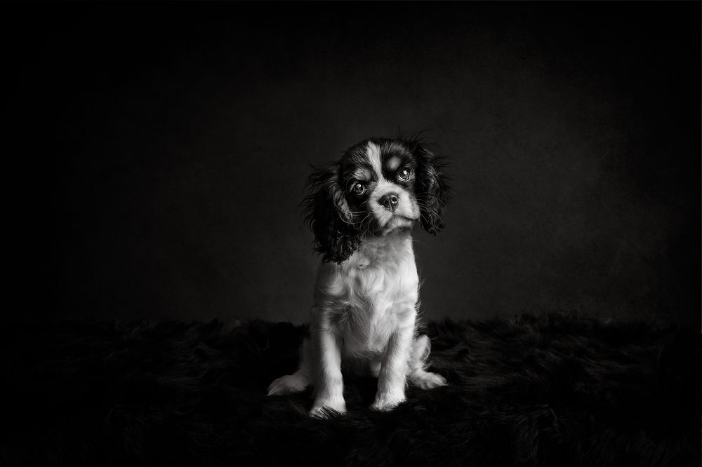 Photograph by Marta Muzylowski