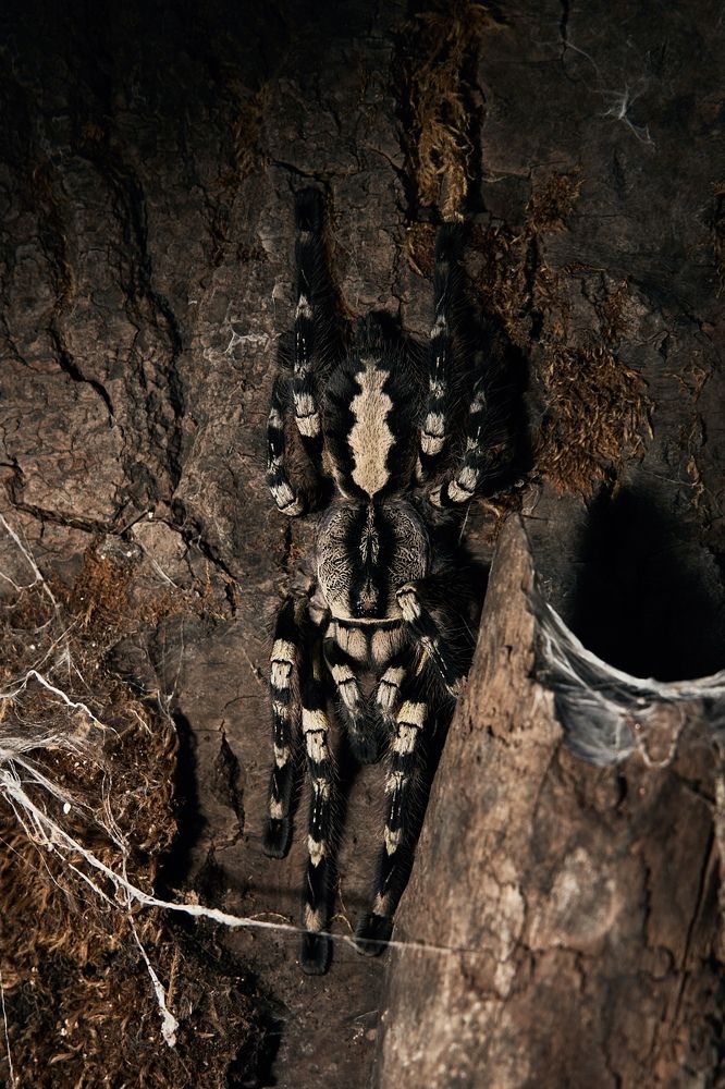 Photograph by Yuli Lerou