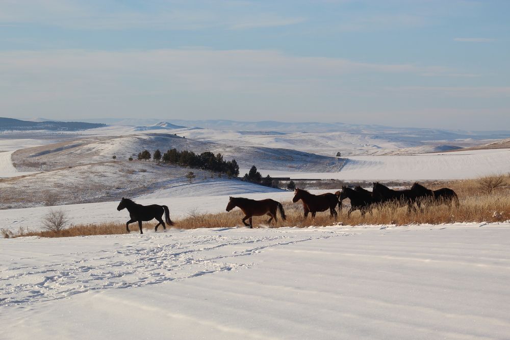 Photograph by Светлана