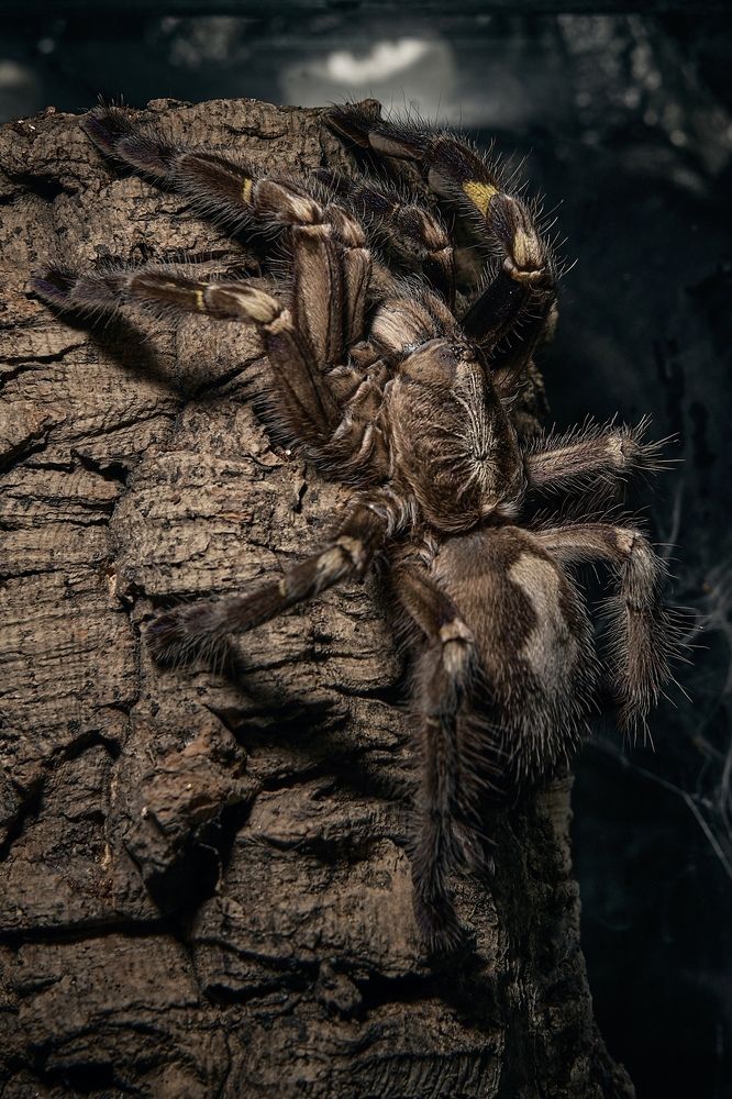 Photograph by Yuli Lerou