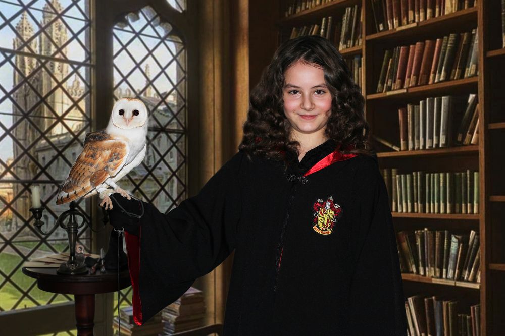 Миры Гарри Поттера