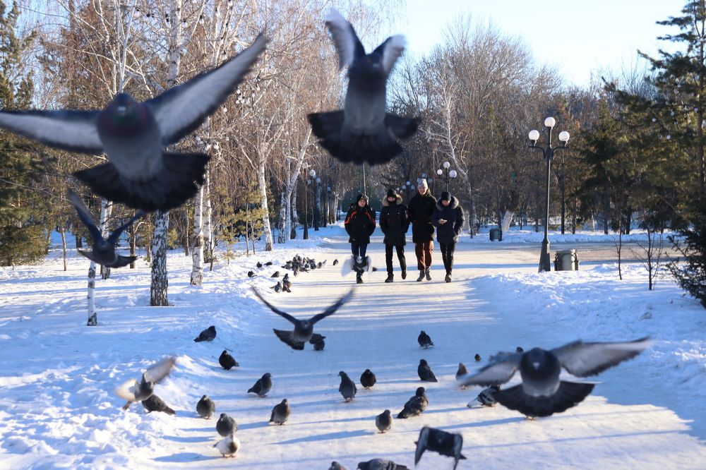 Photograph by Марина Савченко