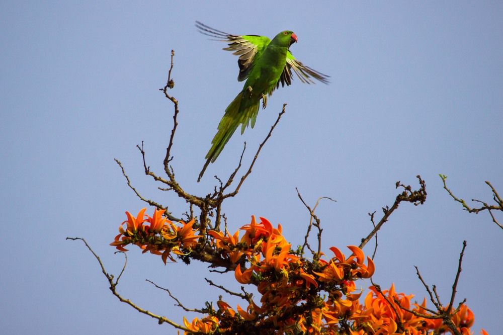 Photograph by Ayanendu De