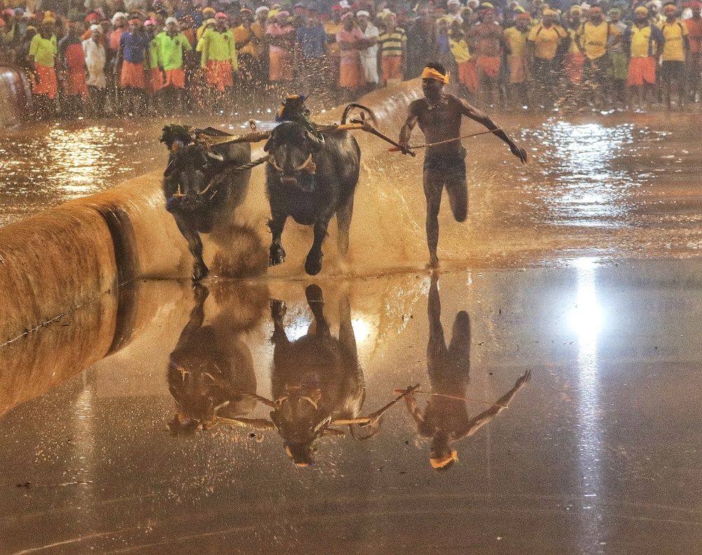 Photograph by prabhakar Gujjarappa
