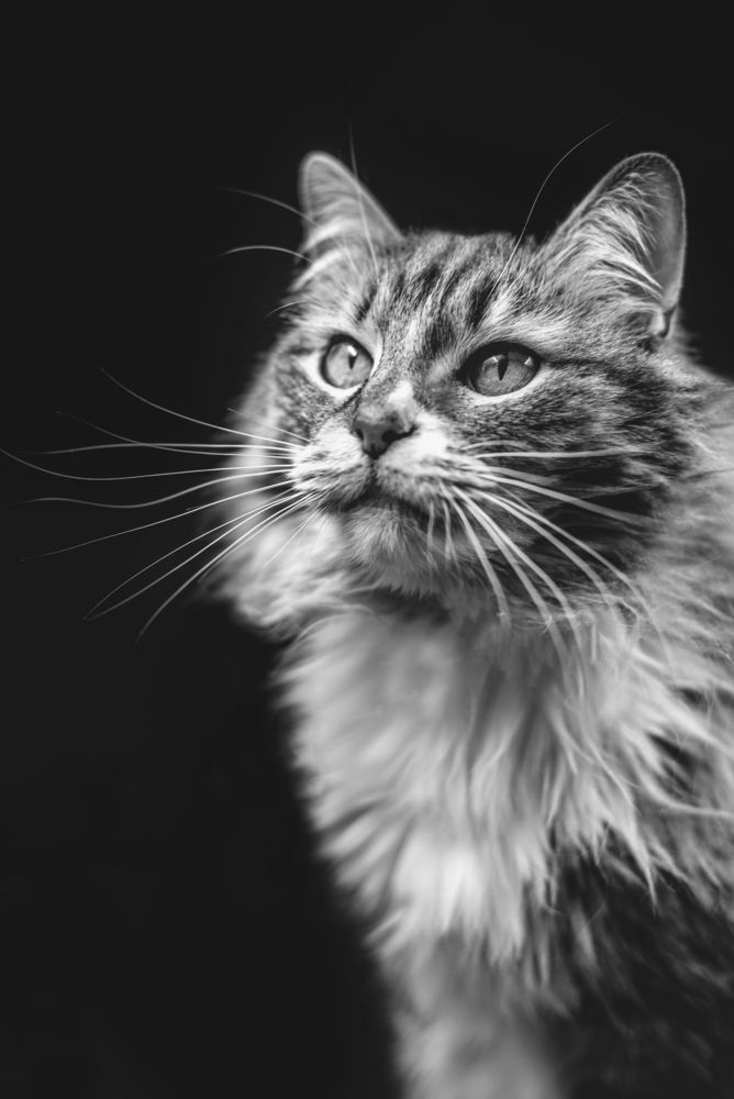 Photograph by Львова Люси