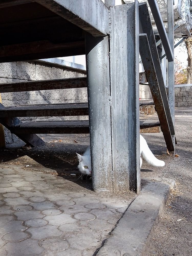 Photograph by Рина Хуртова