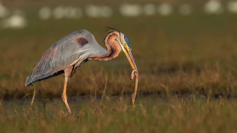 Photograph by Vinod Kumar V K