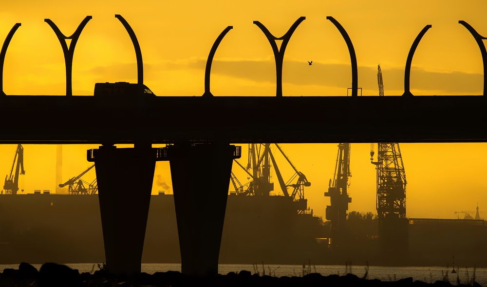 Рассветная силуэтка.