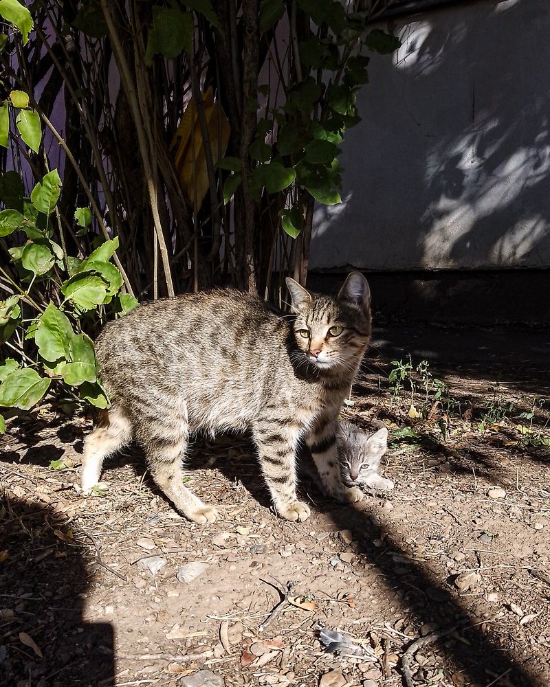 Photograph by Рина Хуртова