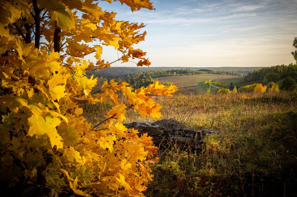 Photograph by Сергей Забиякин