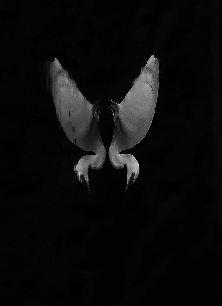 Photograph by prabhakar Gujjarappa