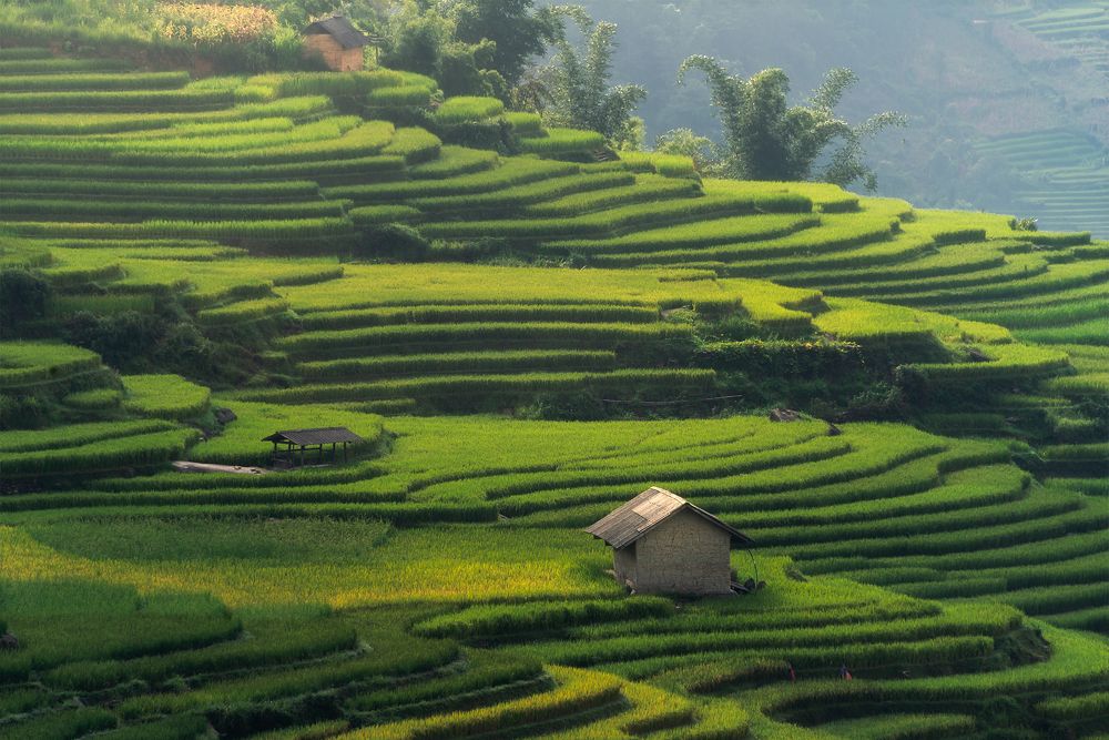 Фотография автора Bảo Nguyễn Gia