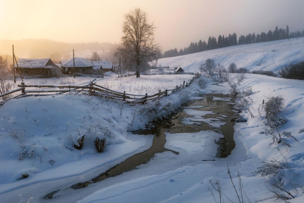 Photograph by Соколова Елена