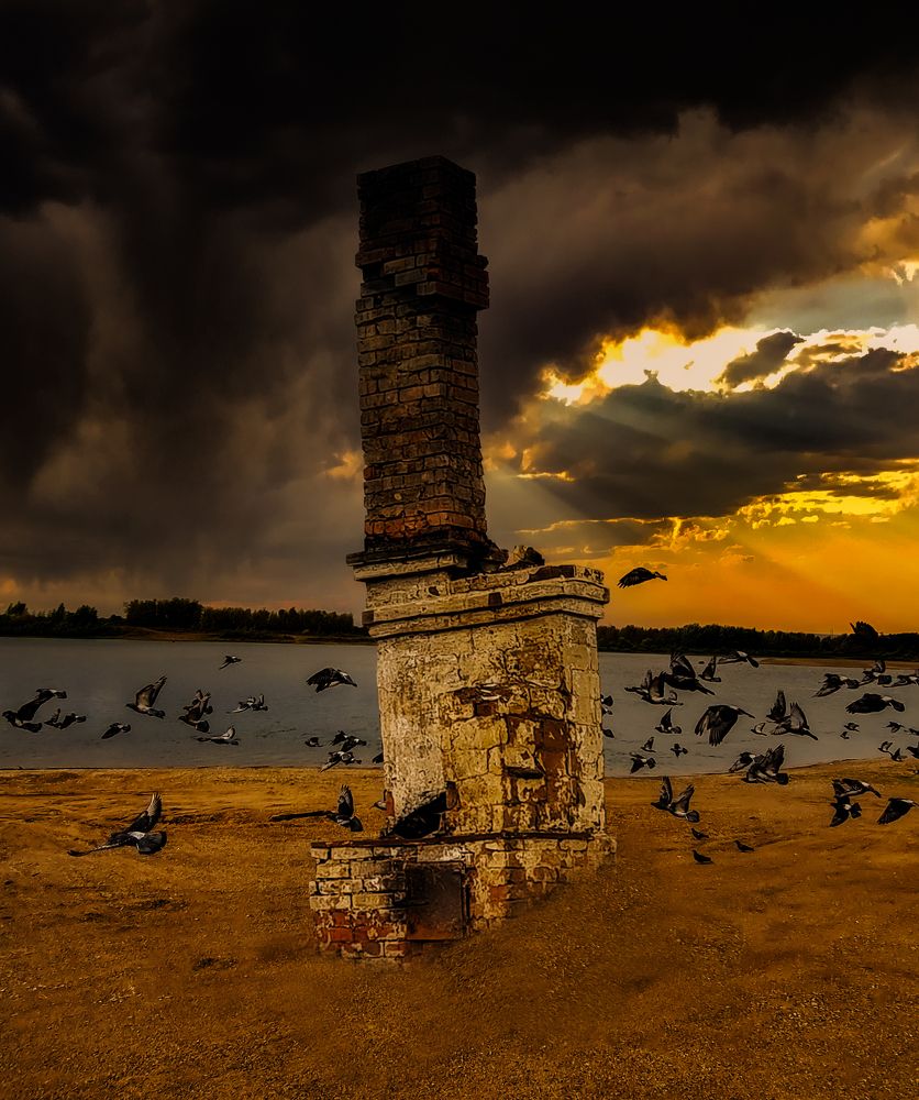 Burnt House and Pigeons