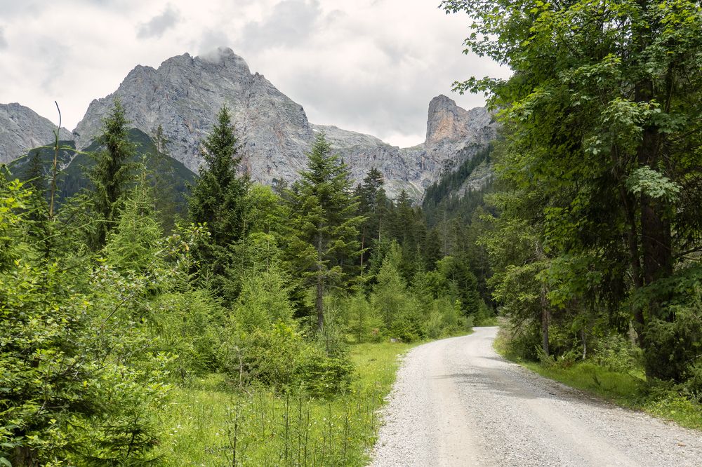 Photograph by Igor Gruber