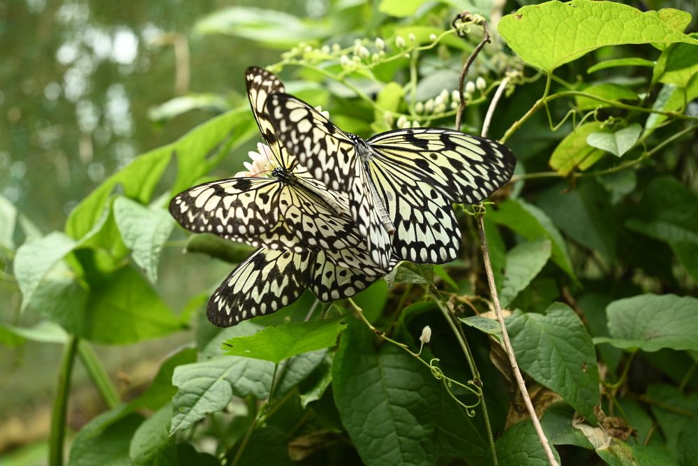 Photograph by Ольга Закаблуковская