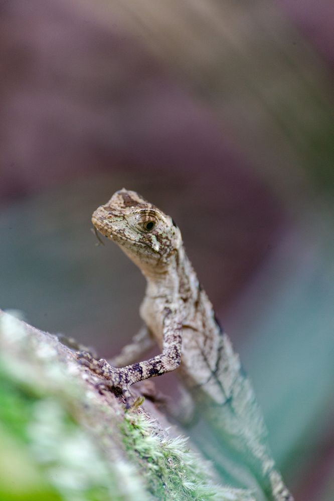 Photograph by Diego Mimi