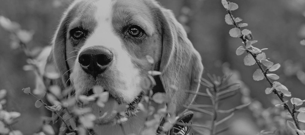 Photograph by Ирина Ахбаш