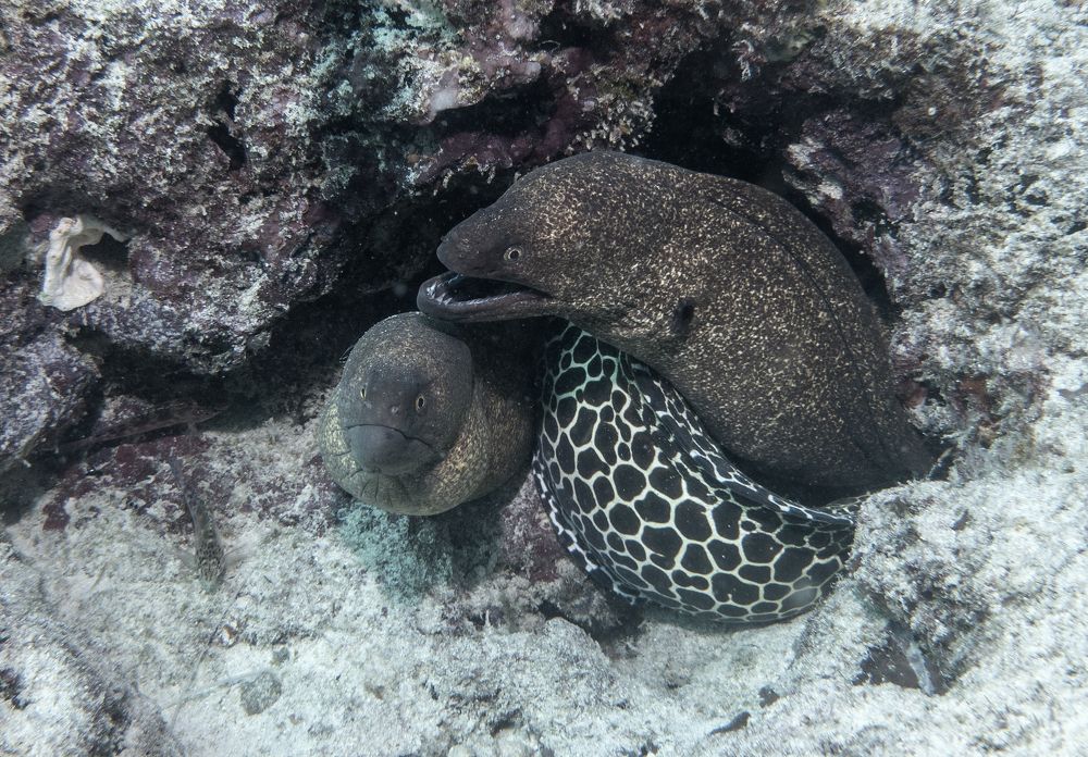 Photograph by Галина Михоношина