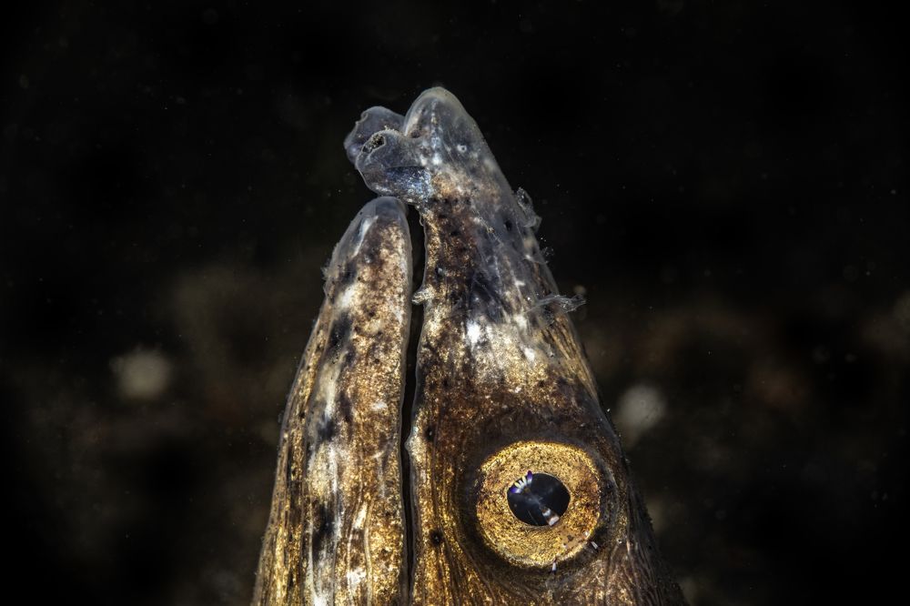 Photograph by Rodrigo Gavilan