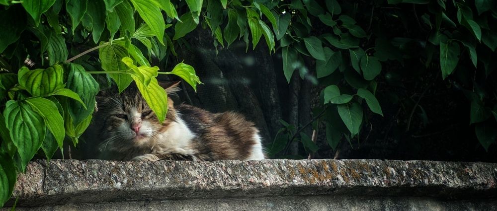 Photograph by Дмитрий Леонтенко