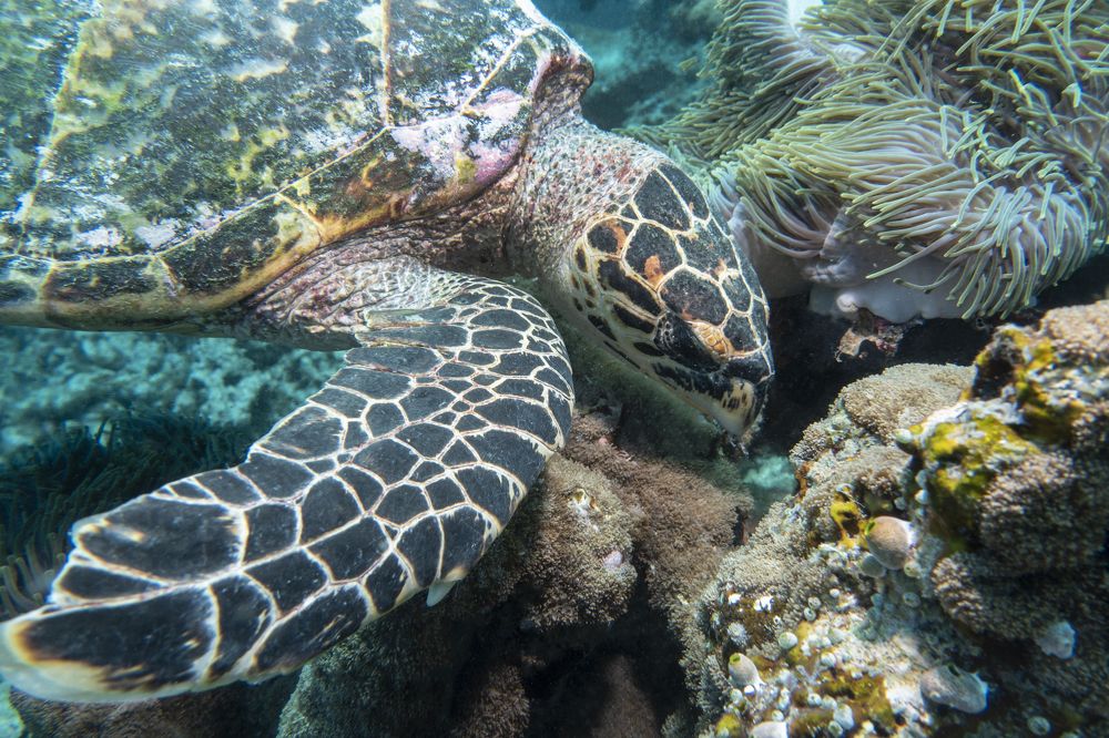 Photograph by Галина Михоношина