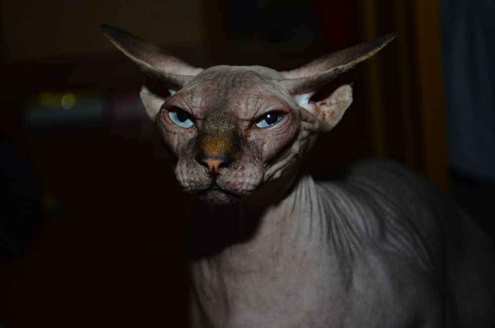 Photograph by Ярослава Феникс