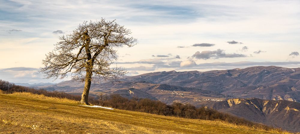 Фотография автора Андрей Симонов
