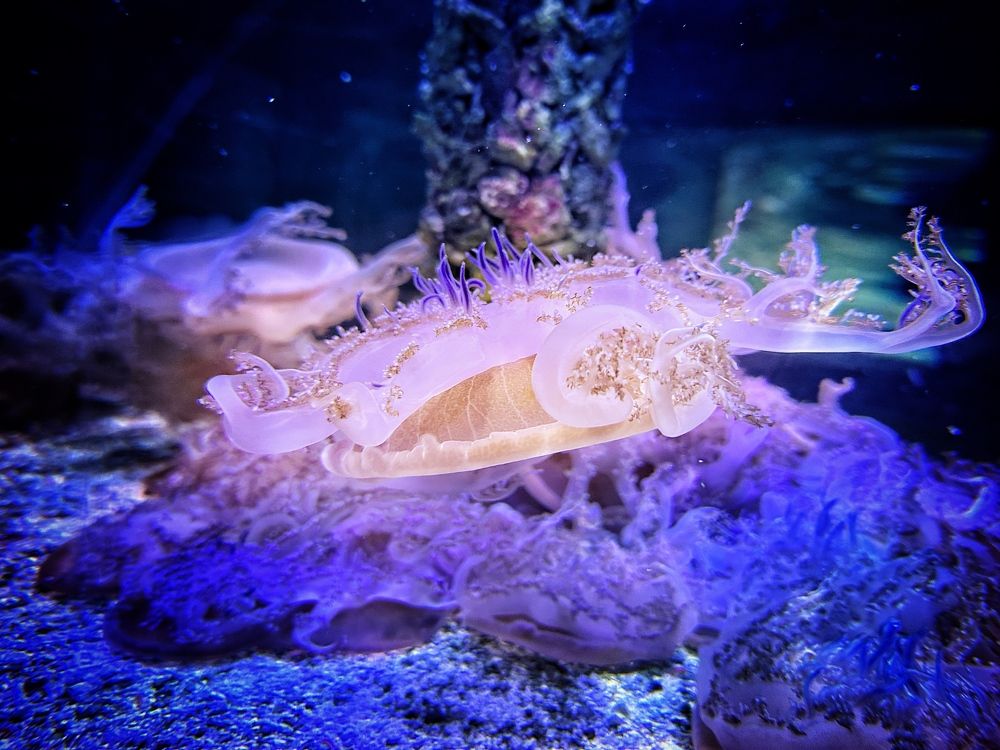 Photograph by Елена Силкина