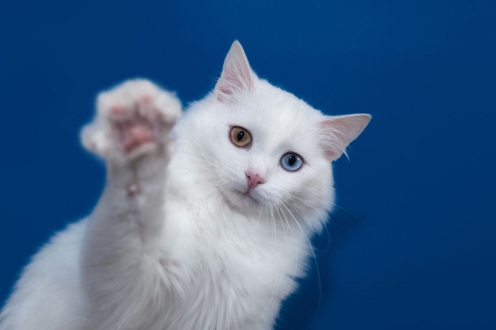 Photograph by Татьяна Степанова