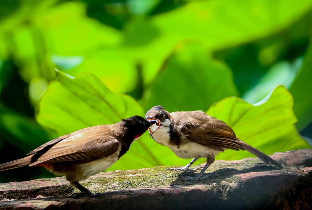 Photograph by Shreya Banerjee