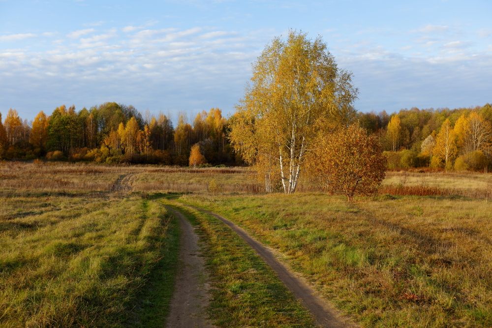 Photograph by Alexander Kournossov