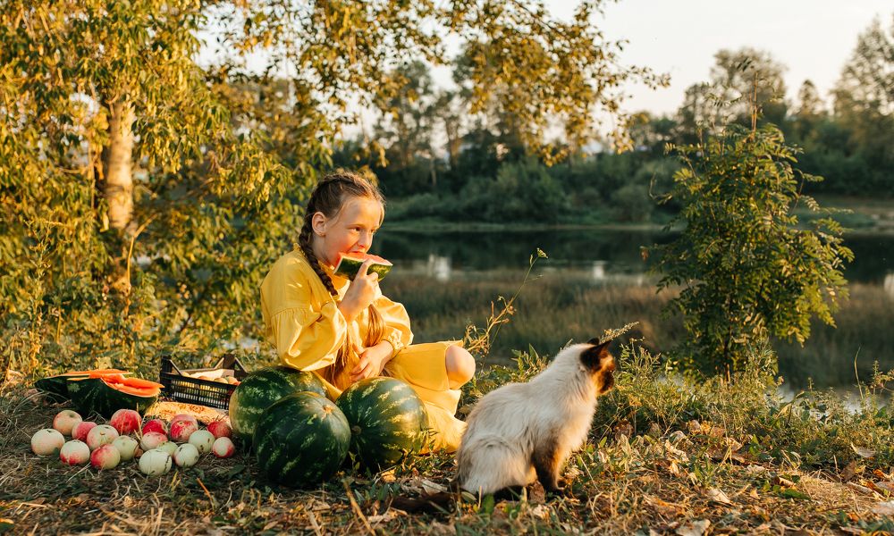 Фотография автора Анна Толмачева