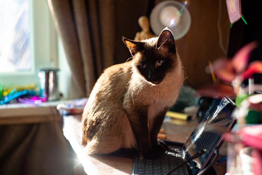 Photograph by Галина Аскольдовна Луковникова