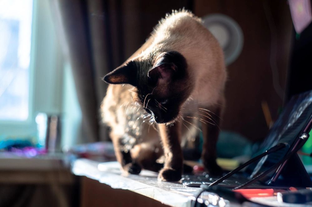 Photograph by Галина Аскольдовна Луковникова