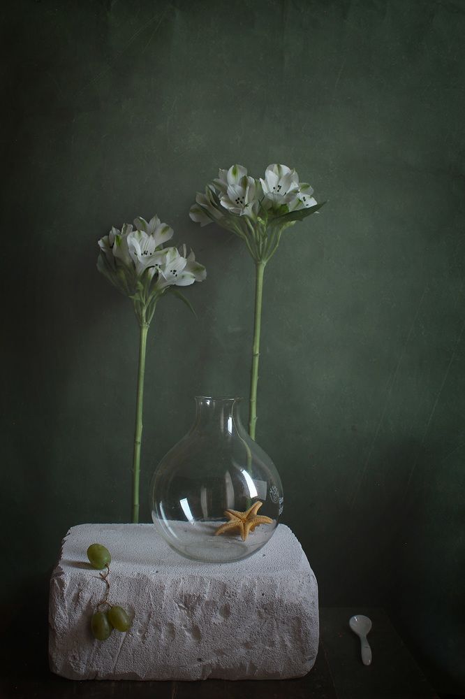 Photograph by Курочкина Диана