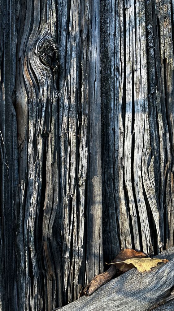 Photograph by Алина Сущинская