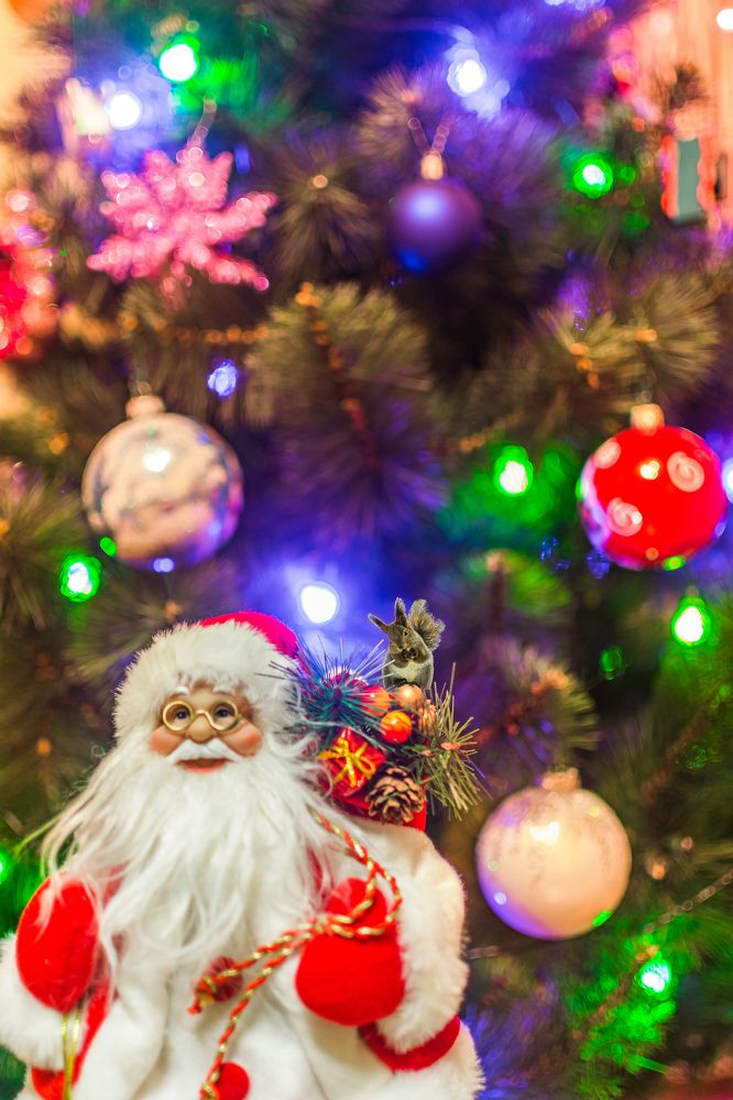 Photograph by Артём Александрович