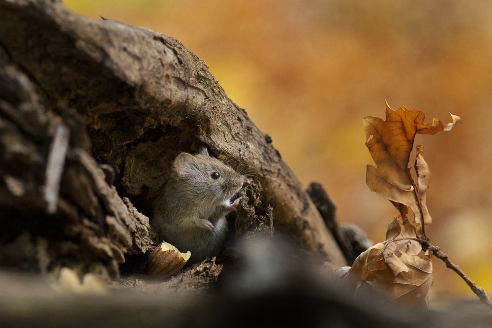 Photograph by Даря Ивушкина