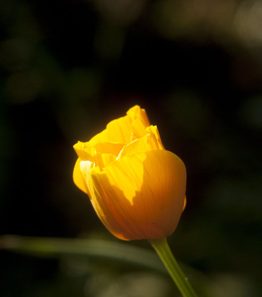 Photograph by Алексей Макаров