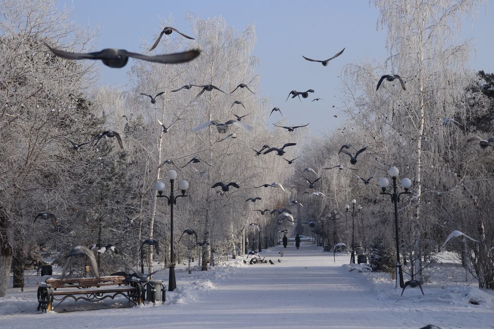 Photograph by Марина Савченко