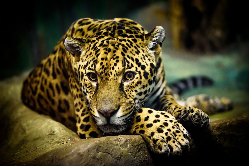 Photograph by Никита Иванюшкин