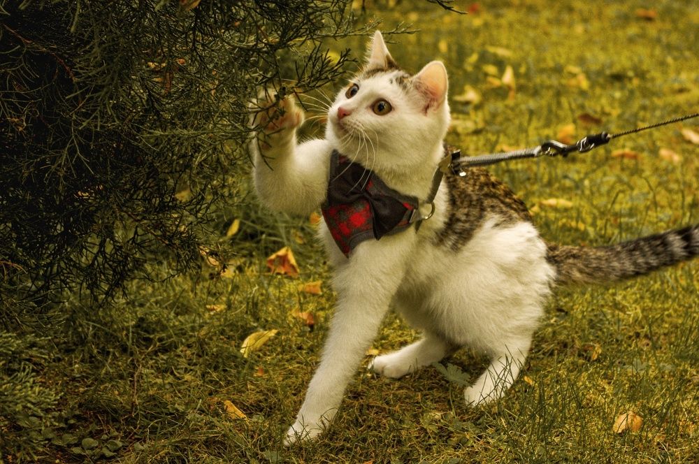 Photograph by Ирина Шафиева