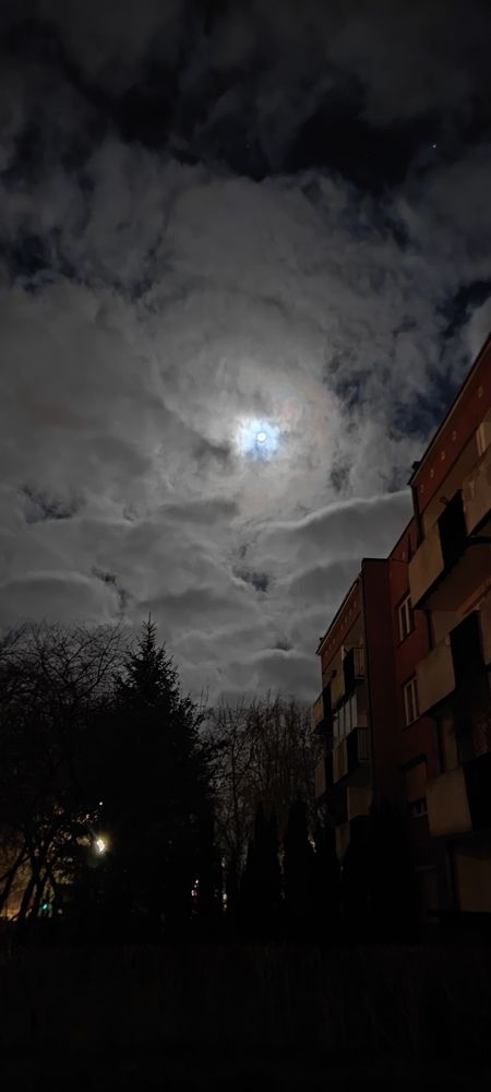 Photo #8832702